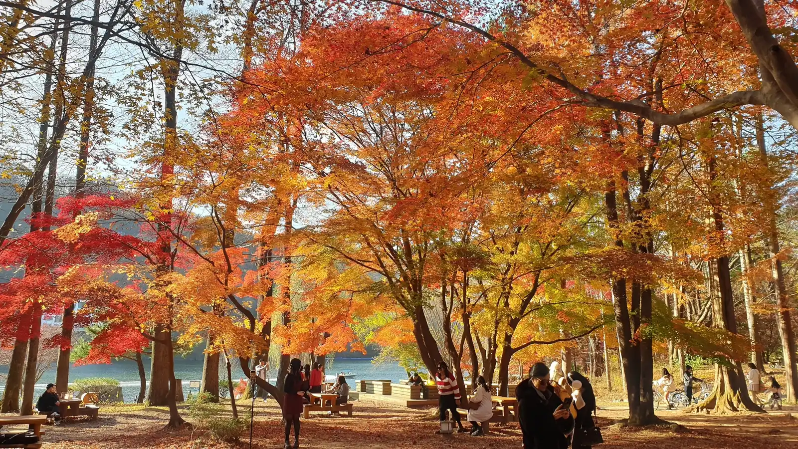 An autumn landscape near the Gapyeong-Chuncheon area of Gyeonggi and Gangwon provinces, the region surrounding Nami Island.
