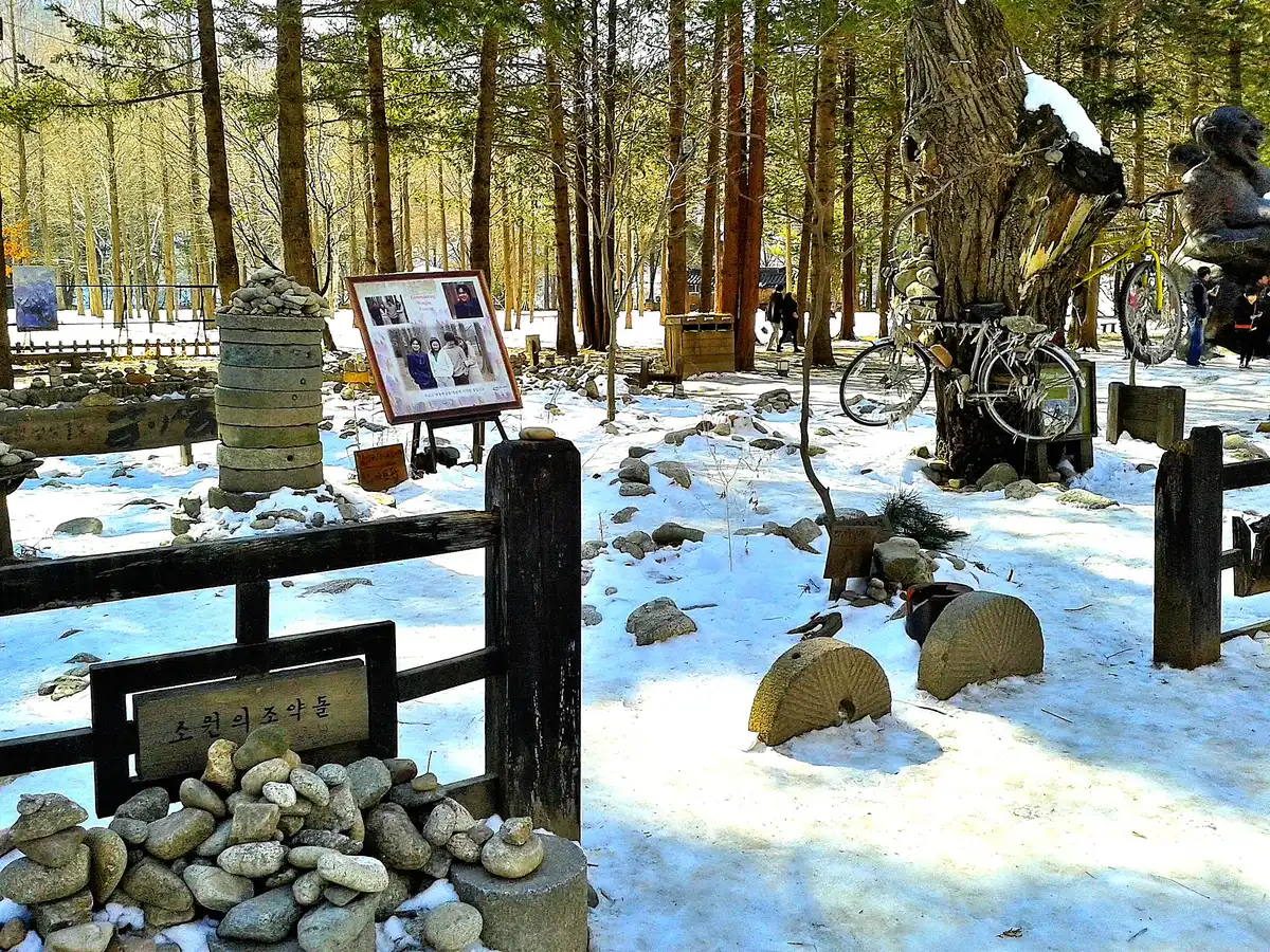 The tree-lined avenue on Nami Island made famous as a filming location for the drama Winter Sonata.