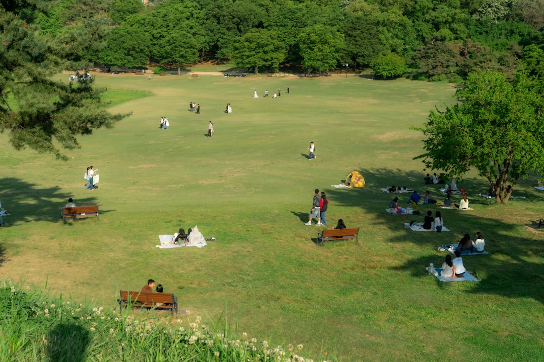 People relaxing and playing on a large green park lawn.