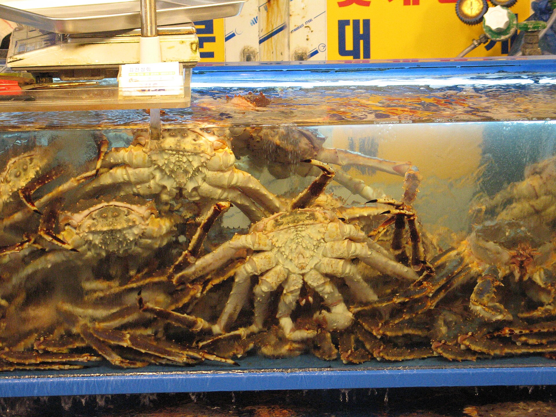 Noryangjin Fish Market located in Dongjak-gu, Seoul, South Korea
