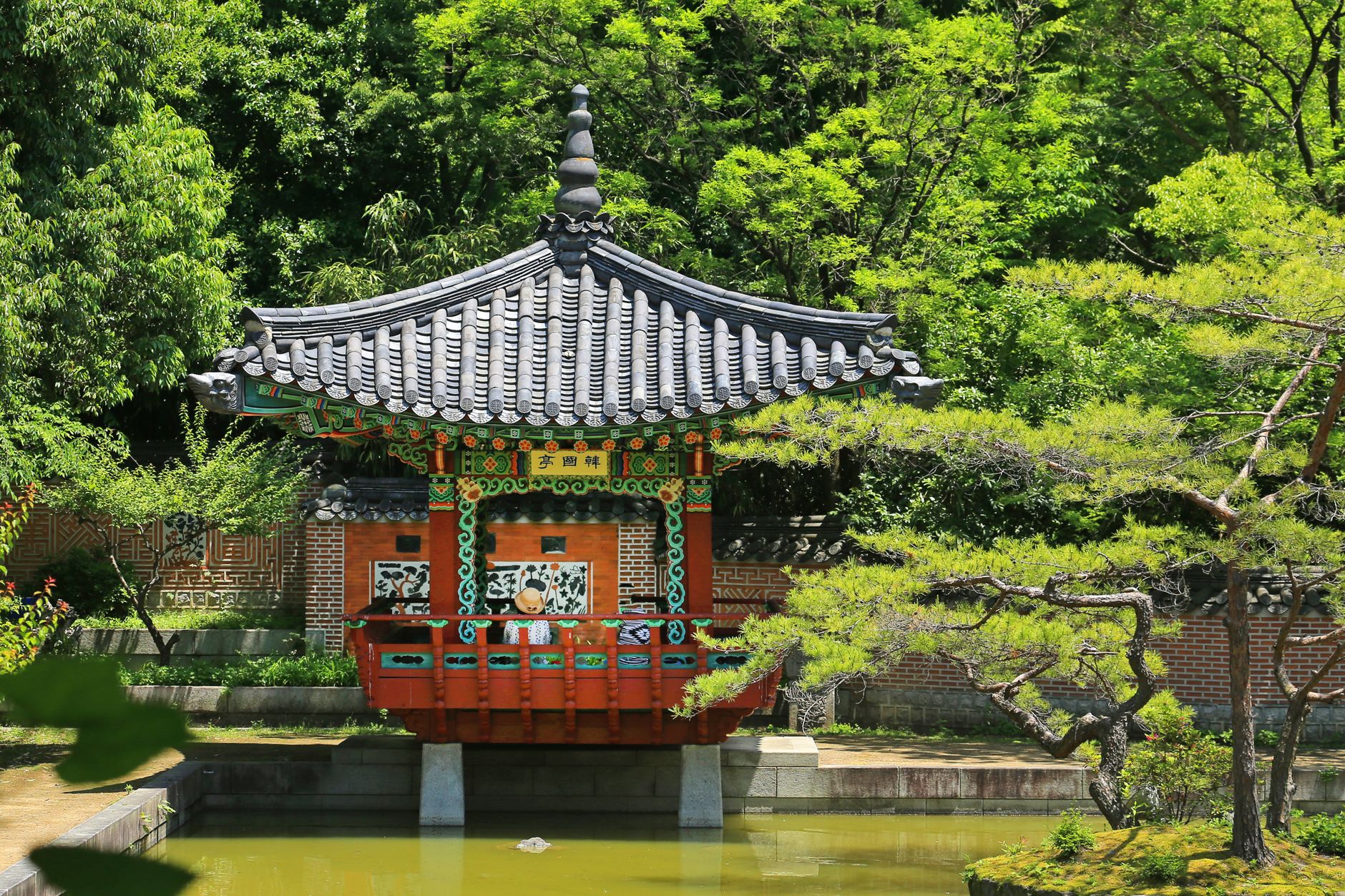 Beautiful traditional pavilion in a tranquil botanical garden setting.