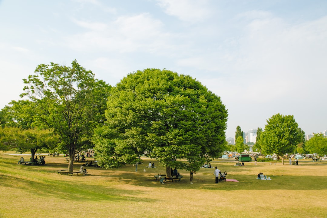 June picnic in Yeouido Hangang Park