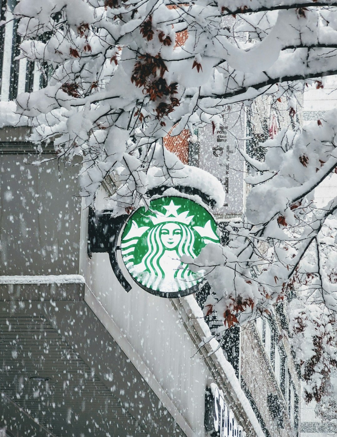A starbucks sign is covered in snow on a snowy day
