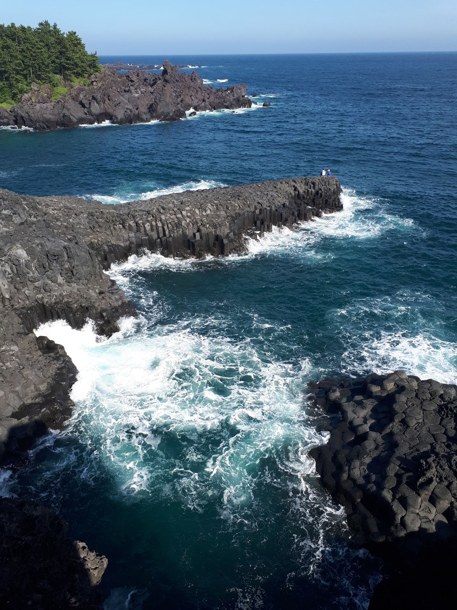 Hexagonal basalt sea cliffs at Daepo Jusangjeolli on Jeju Island, waves breaking against the volcanic rock columns.