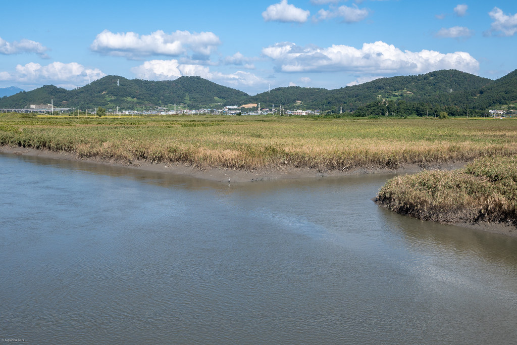 Suncheon Bay Wetland Reserve
