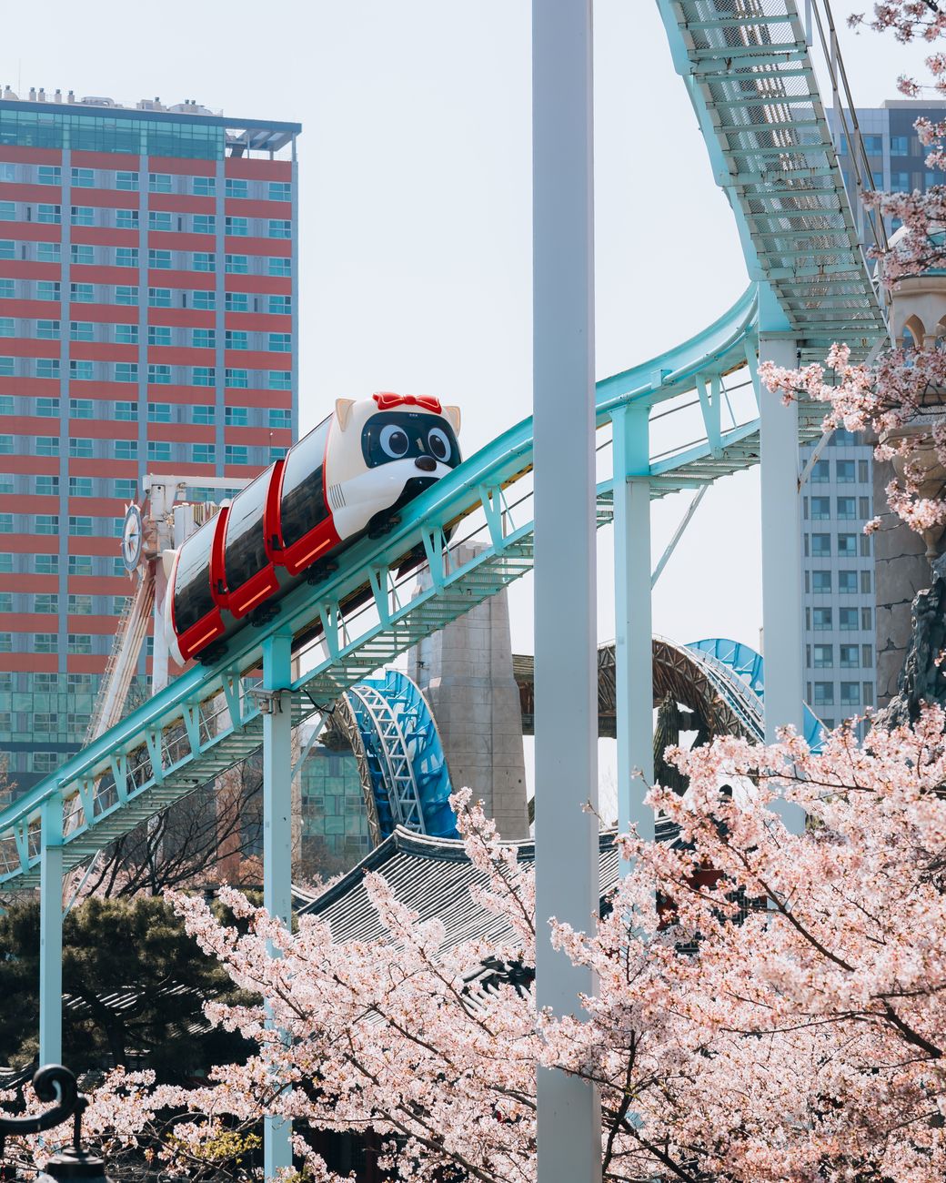 A colorful monorail rides above cherry blossoms in urban Seoul, South Korea.