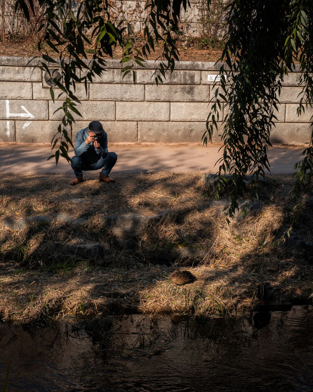 A photographer captures a serene moment near a stream in Seoul, South Korea.