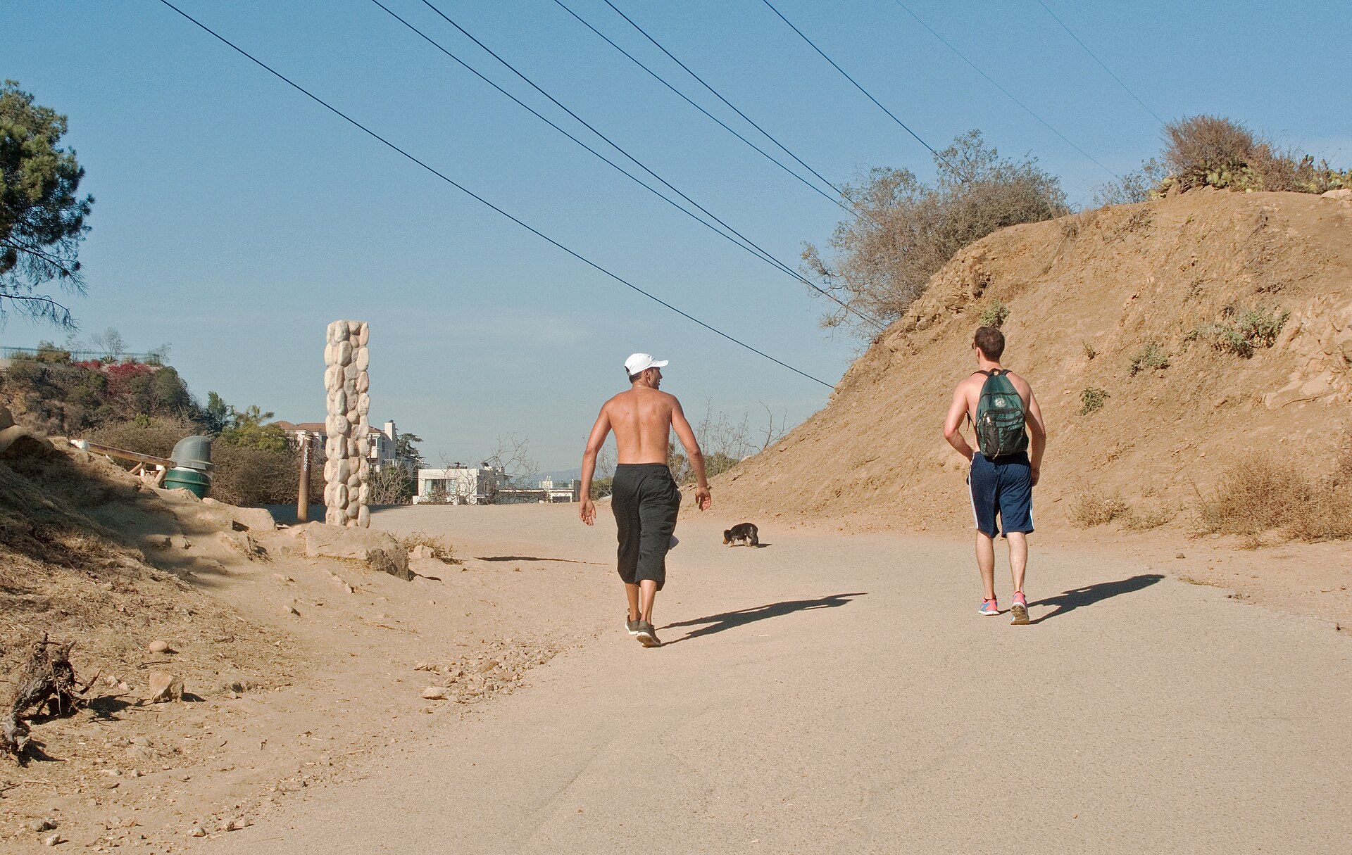 View approaching the north end of the west trail in Runyon Canyon.