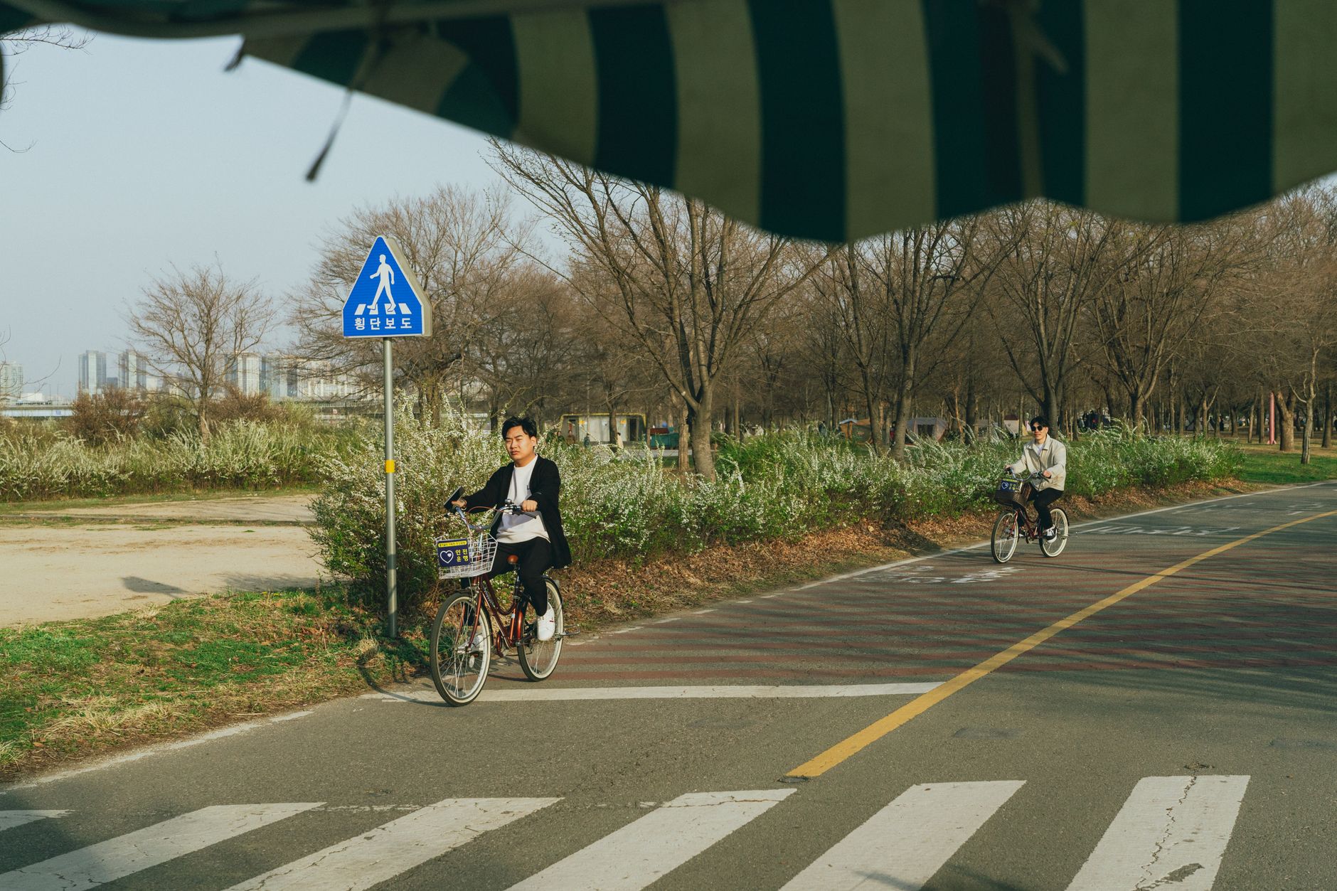 Enjoy a scenic bike ride in a Seoul park during springtime.