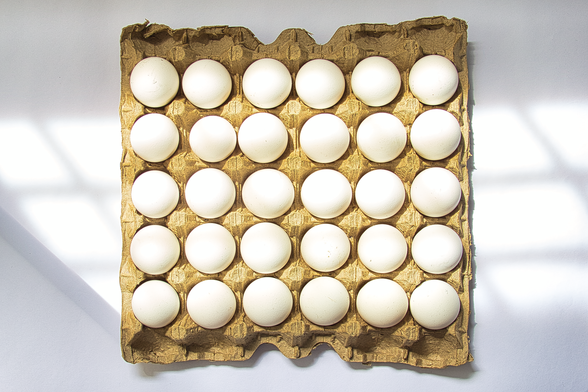 A flat lay of white eggs neatly arranged in a cardboard tray on a sunlit surface.