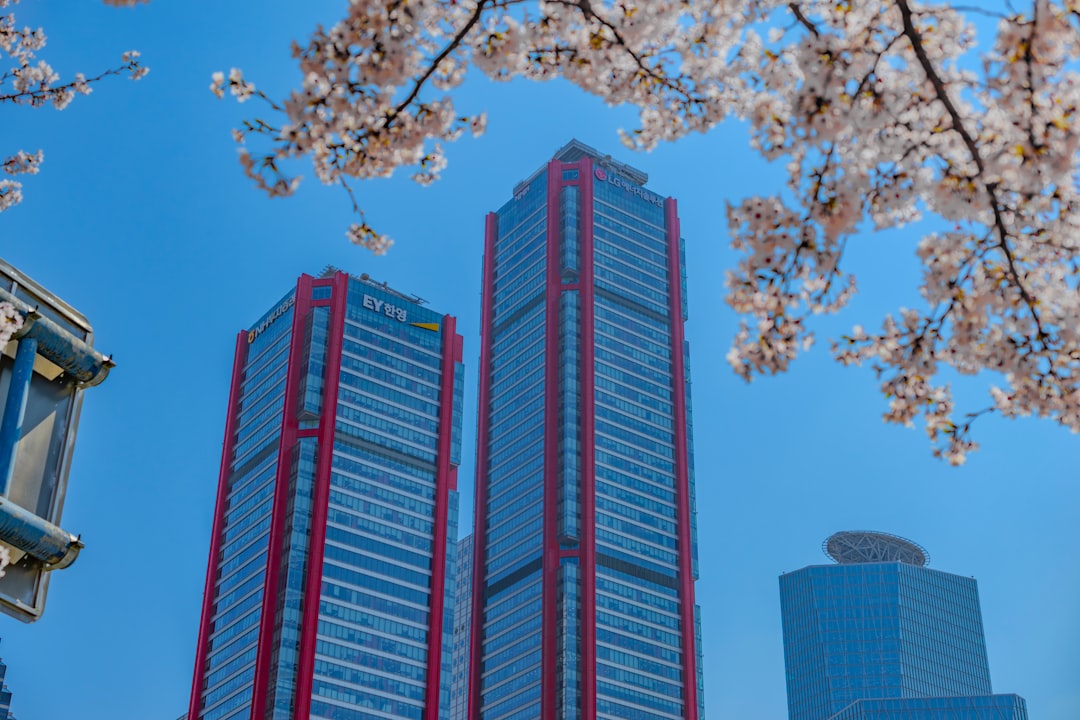 Modern skyscrapers in Yeouido, Seoul rise against a clear blue sky, framed beautifully by blooming cherry blossoms, blending nature with urban architecture in…